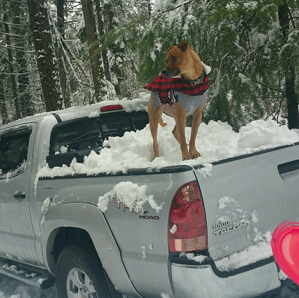 Meet your Posher, Amanda